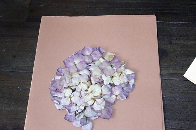 Getrocknete-Blume-auf-die-Geburtstagskarte-aufkleben-Hand-im-Glück-