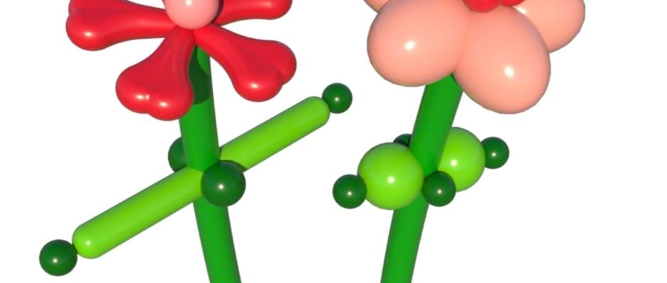 DIY Blumen aus Ballons "Jette & Minna"