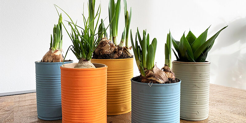 DIY Upcycling: Alte Konservendosen bemalen zu frühlingshaften Blumen- und Kräutertöpfen