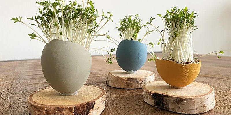 DIY Frühstücksostereier mit Kresse
